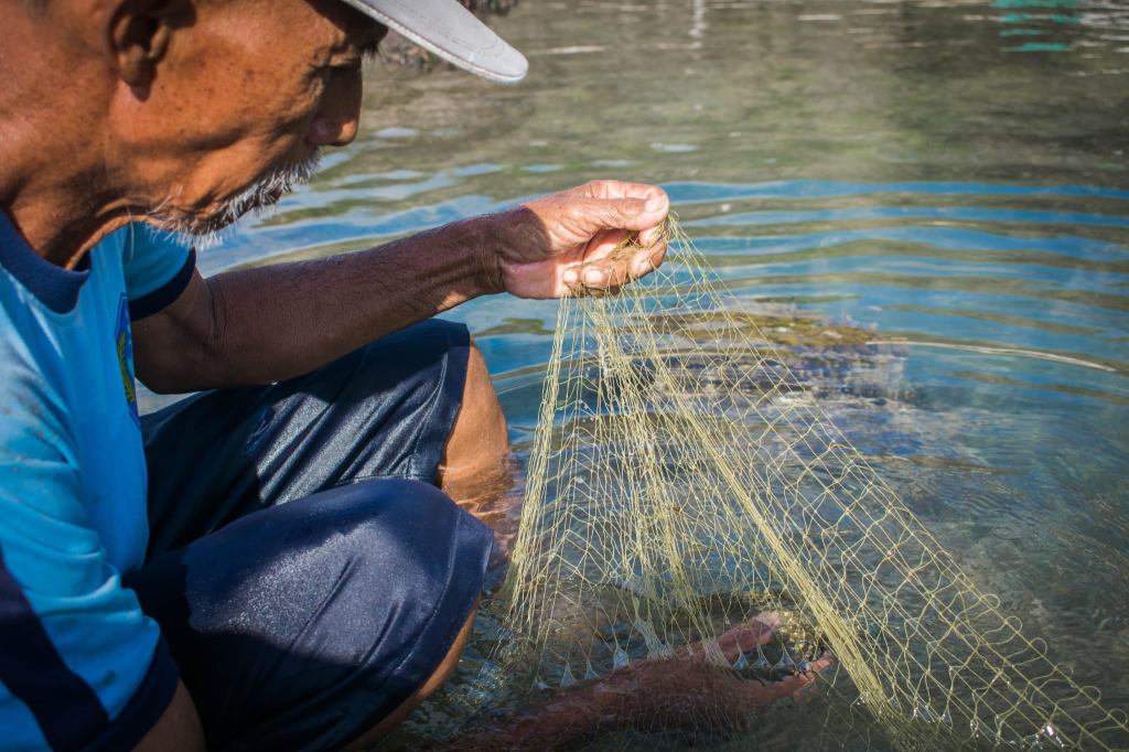 Thích ứng ngành nuôi trồng thủy sản với già hóa lực lượng lao động: Giải pháp thuận thiên giúp giảm nhu cầu lao&nbsp;động