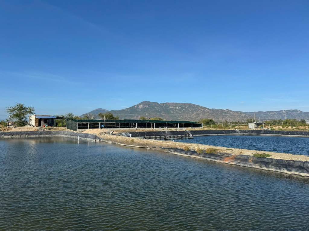 Những dòng chảy vô hình: Ao nuôi thủy sản quy mô nhỏ qua lăng kính&nbsp;giới