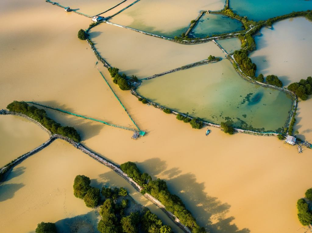 Những Bàn Tay Vô Hình Trên Mặt Nước: Vai Trò của Phụ Nữ trong Nghề Nuôi Trồng Thủy Sản Quy Mô Nhỏ ở Đồng Bằng Sông Cửu&nbsp;Long